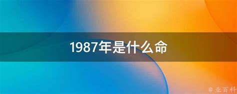 1987年是什么命